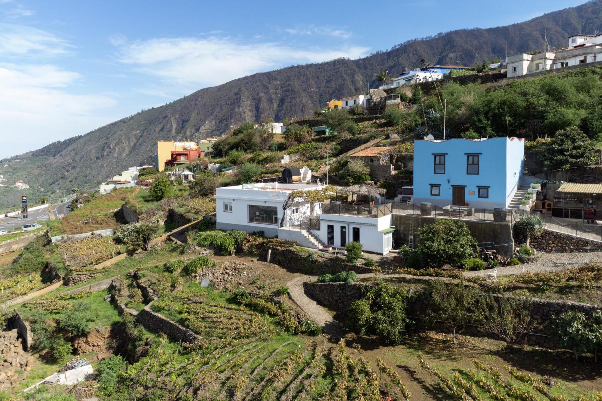 Ek Drago Finca El Milagro La Orotava Exterior foto